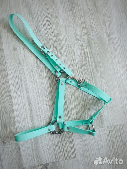 Амуниция из биотана для животных