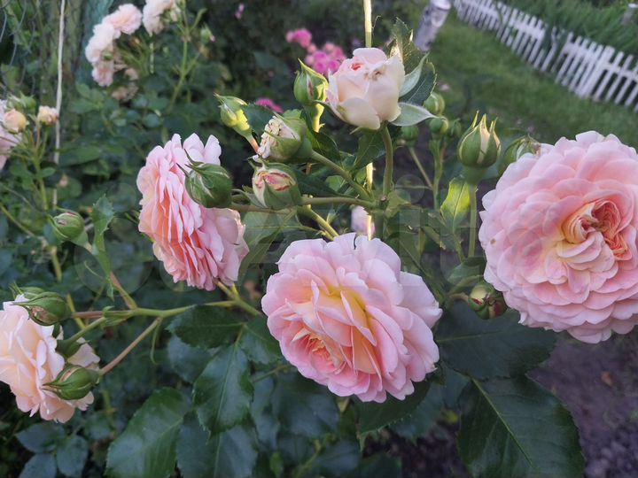 Дом 78,8 м² на участке 20 сот.