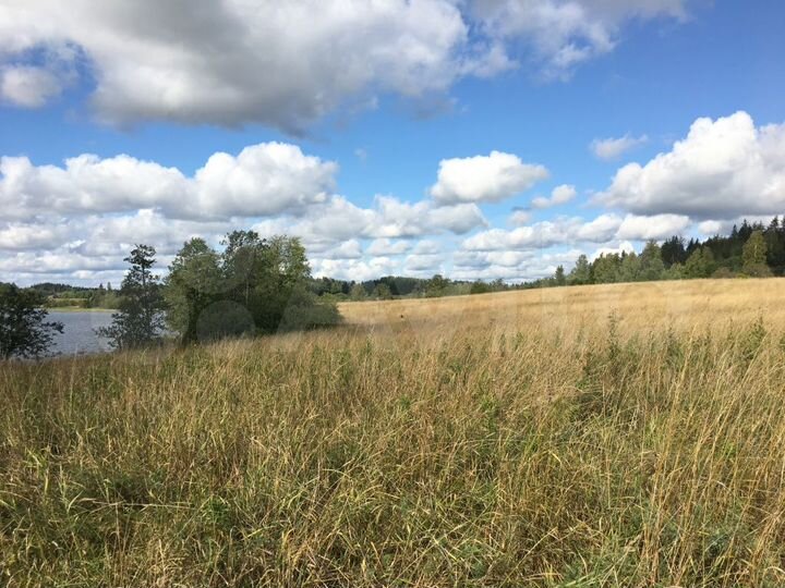 Участок 2,6 га (СНТ, ДНП)