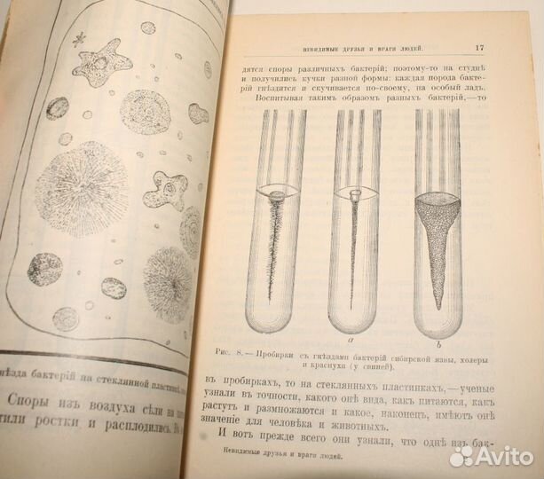 Антикварная Книга о Бактериях и Вирусах. 1906 год