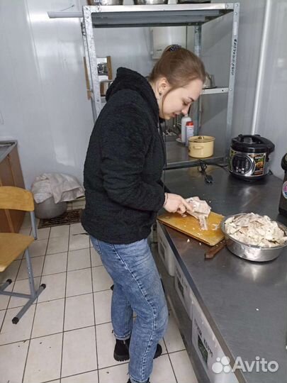 Услуги кинолога