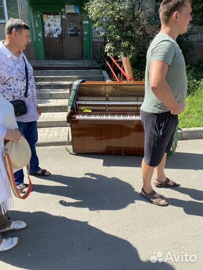 Грузоперевозки Грузчики Переезды