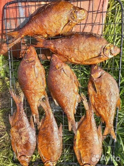 Горячее копчение рыбы