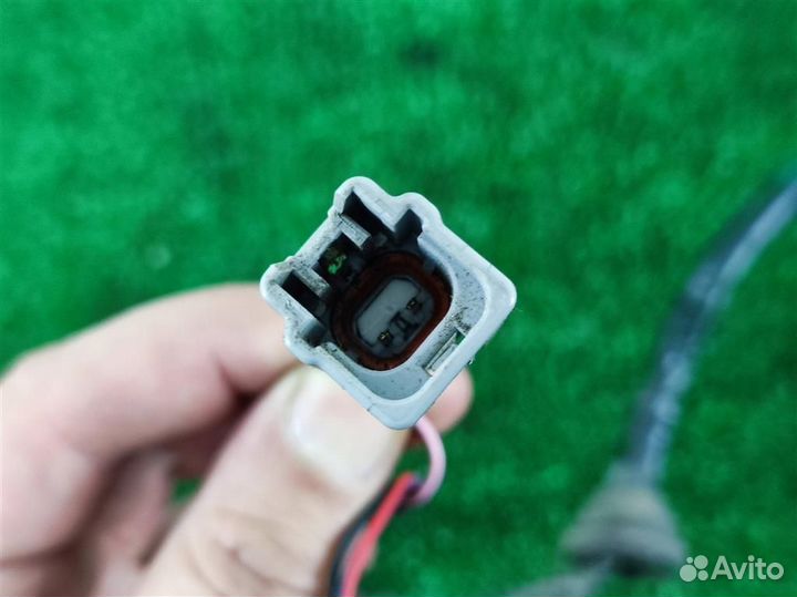 Проводка багажника Nissan Qashqai J10 2008