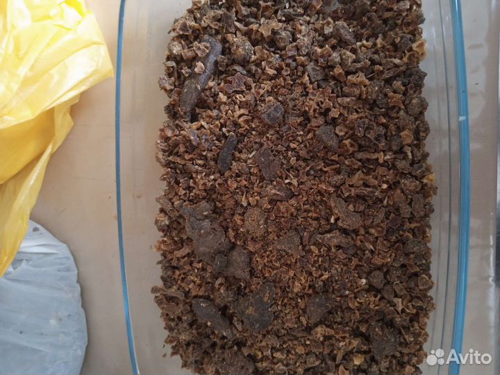 Продам прополис