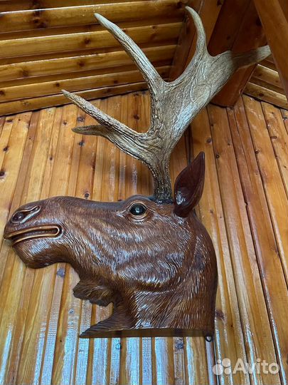 Оленьи рога