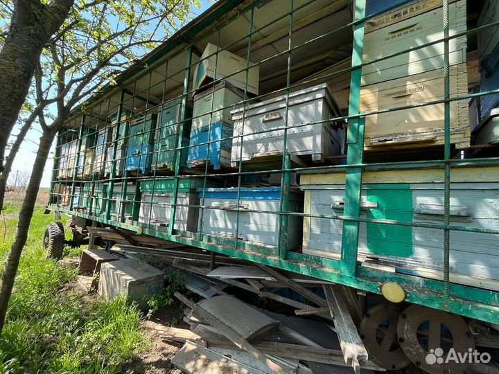 Продается пасека/прицеп,ульи,пчёлы,пчелосемьи