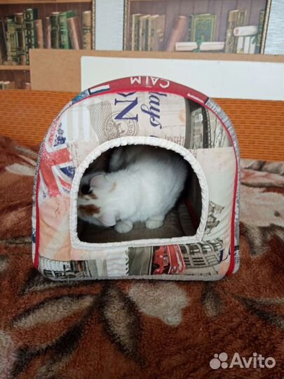 Домик для кошки