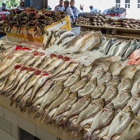 Магазин рыбы и морепродуктов с постоянной прибылью