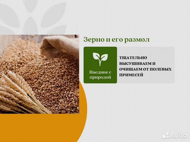 Пшеница Размол (кг)