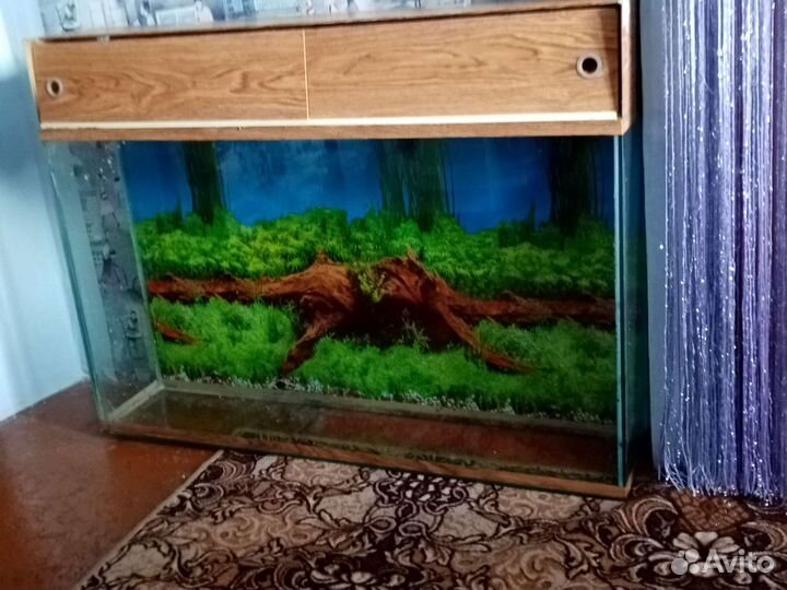 Аквариум