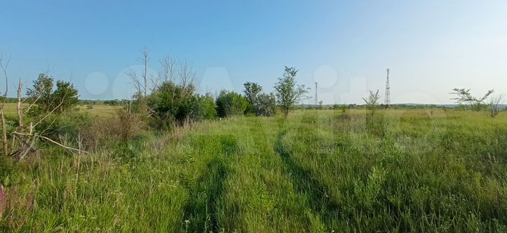 Участок 1,3 га (ИЖС)