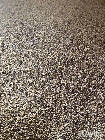 Горчица семена