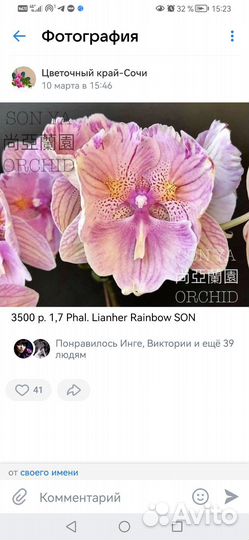 Фаленопсис бабочка