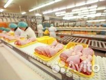 Оператор линии - вахта в Белгородской области