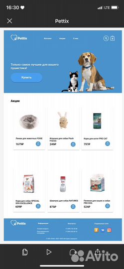 Веб-дизайнер