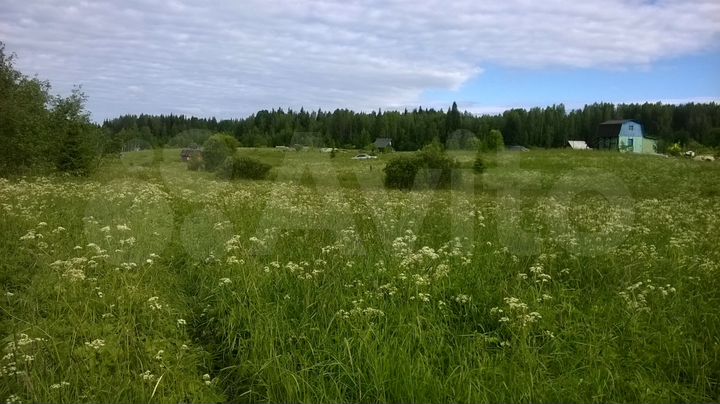 Участок 20 сот. (СНТ, ДНП)
