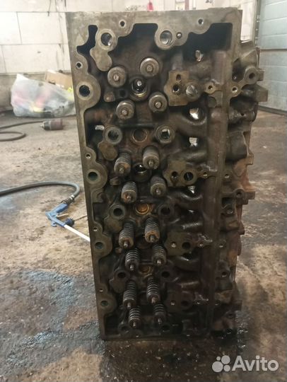 Гбц газон next