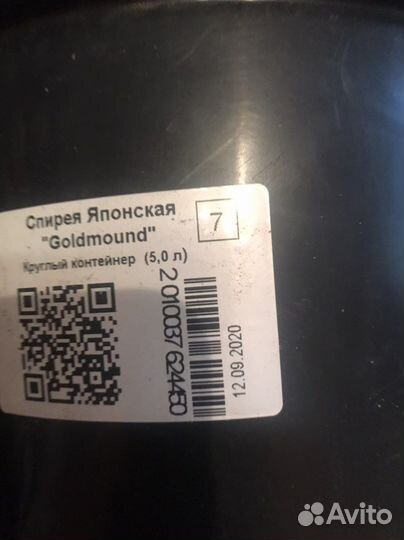 Горшок для цветов пластиковый