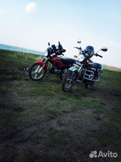 Orion Gryphon125