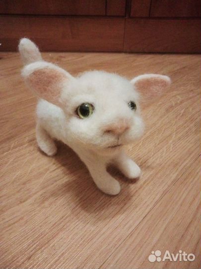 Белый котенок