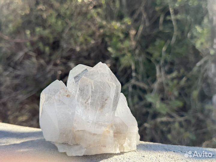 Друза гималайского кварца