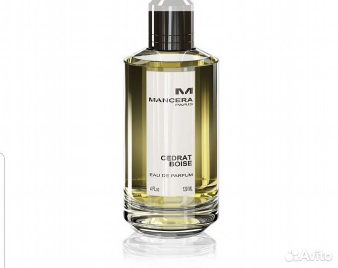 Mancera cedrat boise