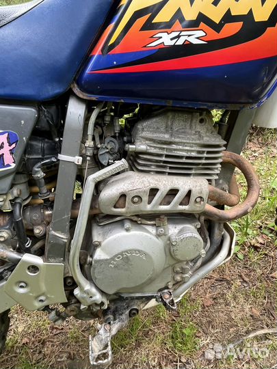 XR250 baja