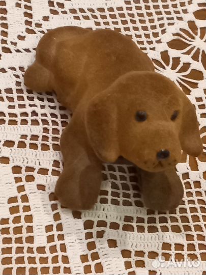 Собака флок качается голова