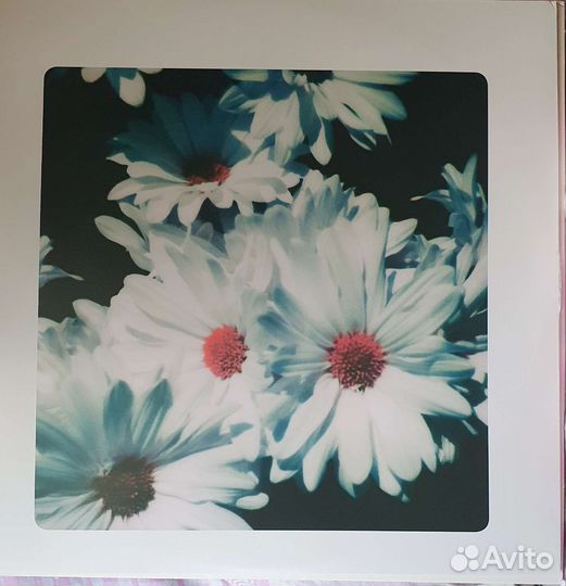 Lana Del Rey Lust for life 2lp