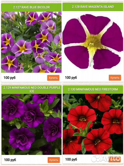 Черенки калибрахоа в наличии