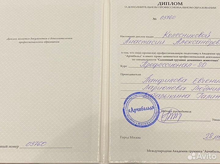 Услуги грумера