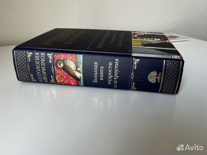 Большая книга мудрости и остроумия Душенко