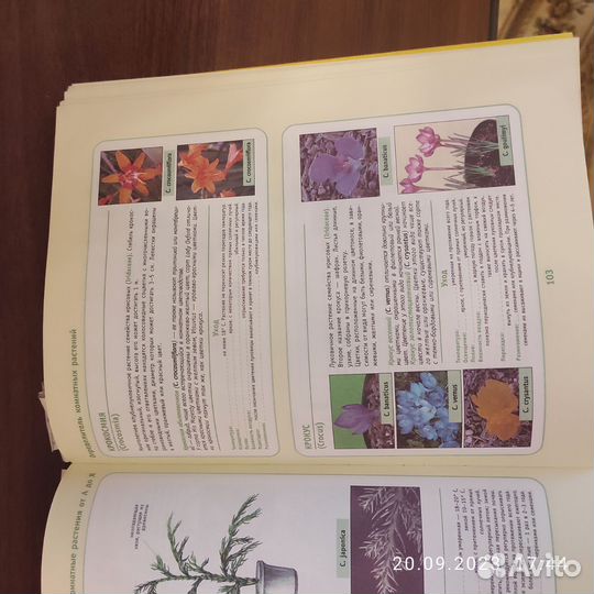 Книга