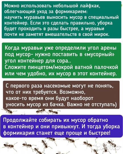 Поилка Мусорка Для муравьиной фермы и тп