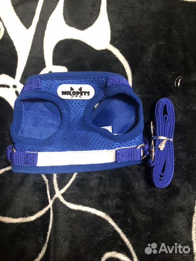 Шлейка для собак и кошек с поводком,S, M, L