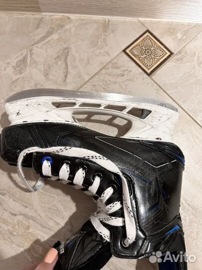 Коньки bauer nexus 2n