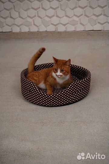 Лежанка для кошки / Когтеточка для кота