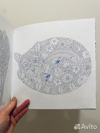 Раскраска для взрослых В стране чудес