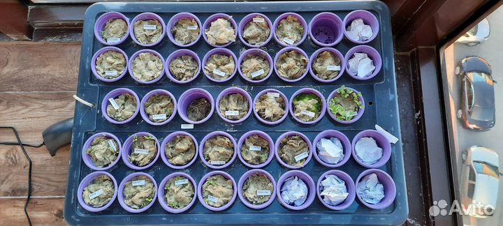 Установка по Гидропонике 39 растений