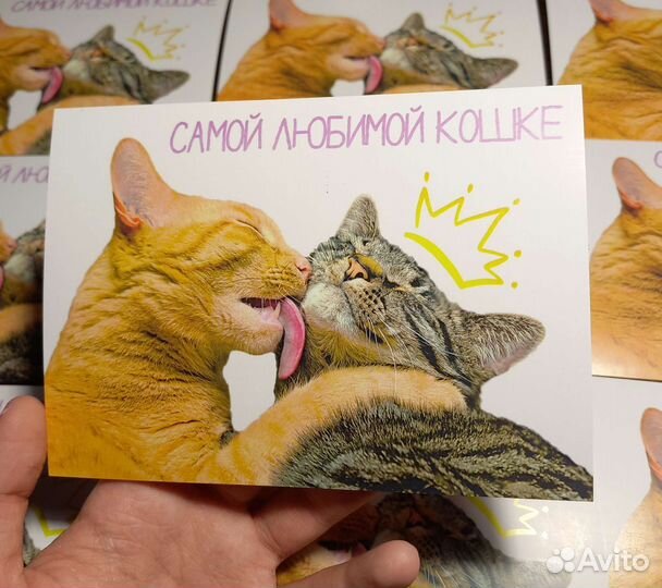 Открыточка с кошечками А6