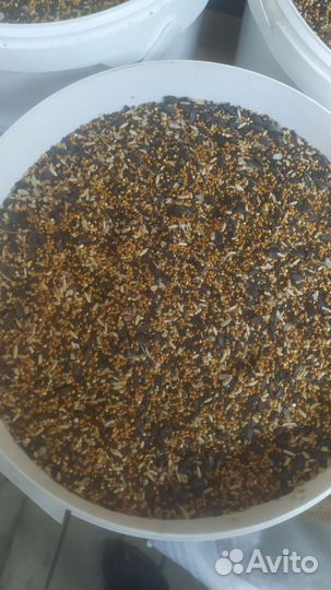 Корм для лесных певчих птиц