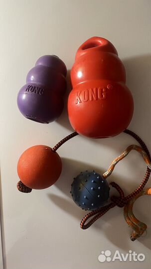 Kong для собак dog activity