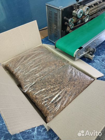 Чага березовая Гриб чага Чай сезон -2024