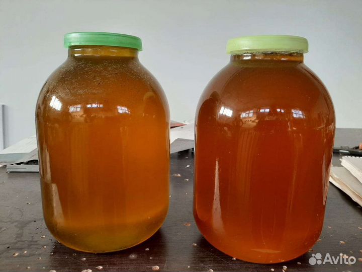 Мёд подсолнечник, майский