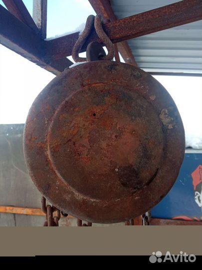 Талька цепная