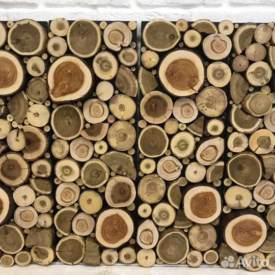 Торцевые спилы разных порд деревьев