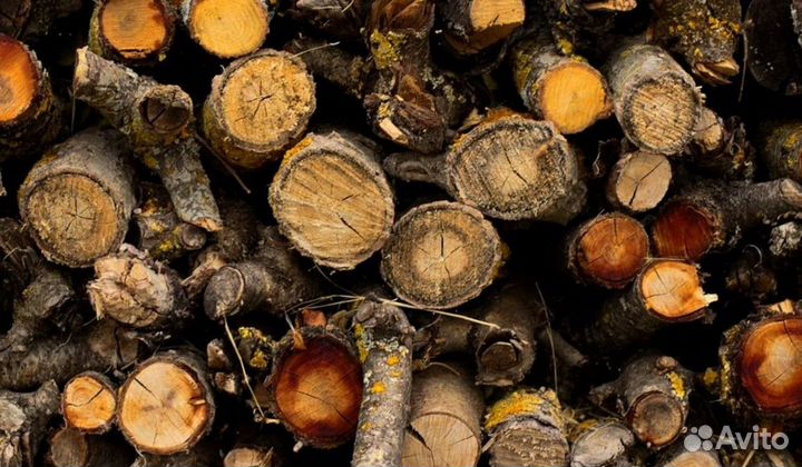 Дрова Осиновые