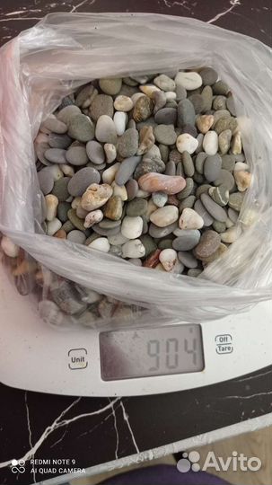 Растение, грунт