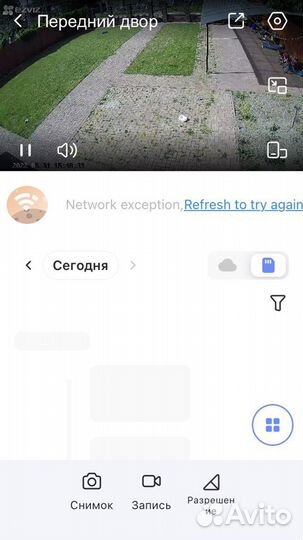 Передержка собак и кошек и не только